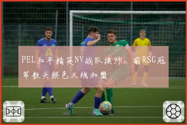 PEL和平精英NV战队换帅,前RSG冠军教头颜色火线加盟