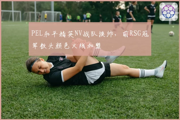 PEL和平精英NV战队换帅,前RSG冠军教头颜色火线加盟