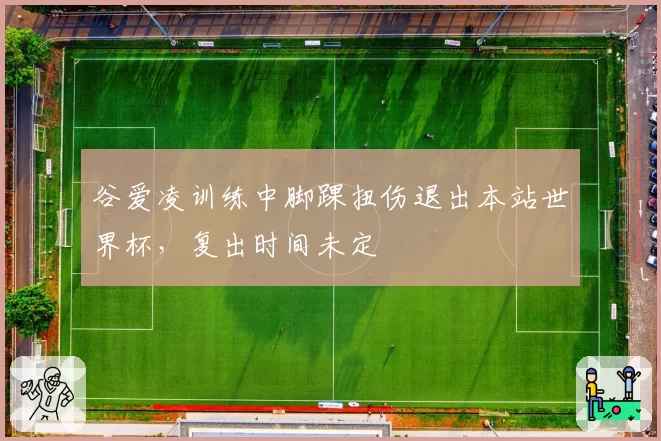 谷爱凌训练中脚踝扭伤退出本站世界杯，复出时间未定